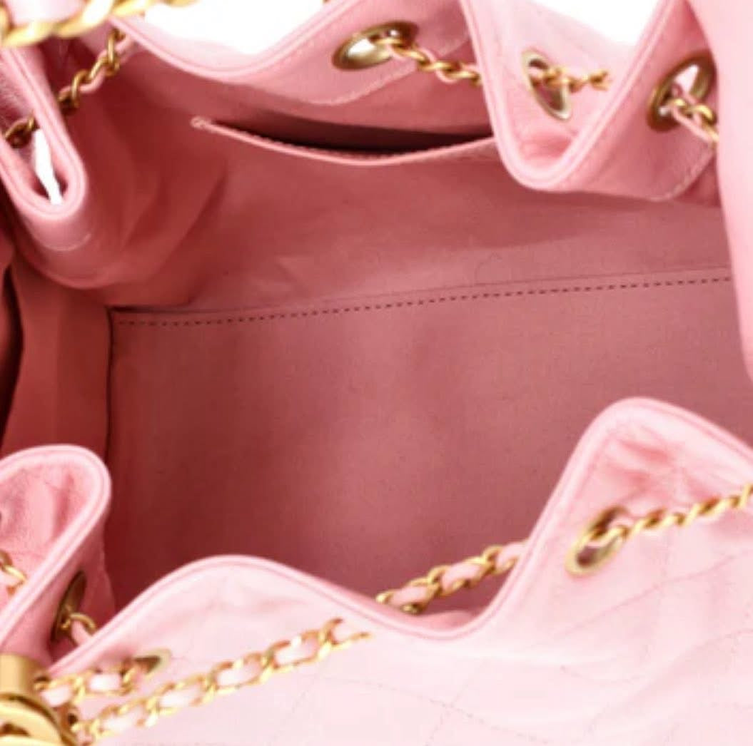 Chanel Hobo Small 25