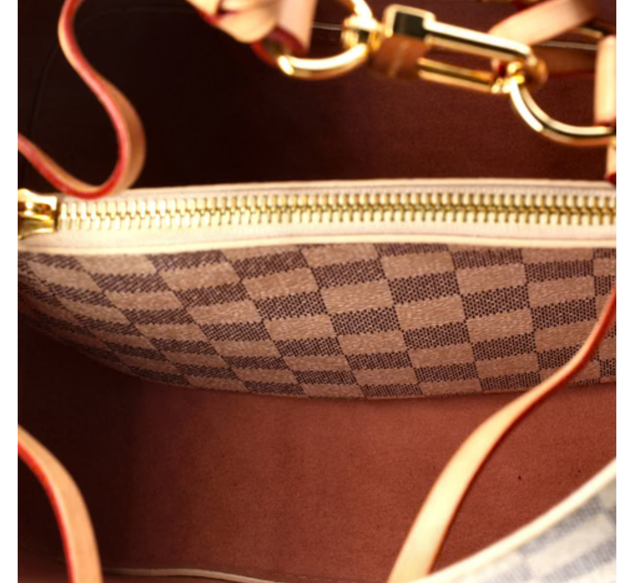 Louis Vuitton Braided Handle NeoNoe Handbag Damier MM