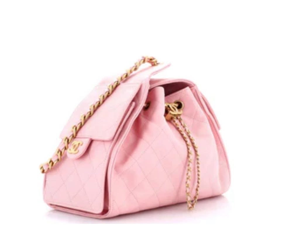 Chanel Hobo Small 25