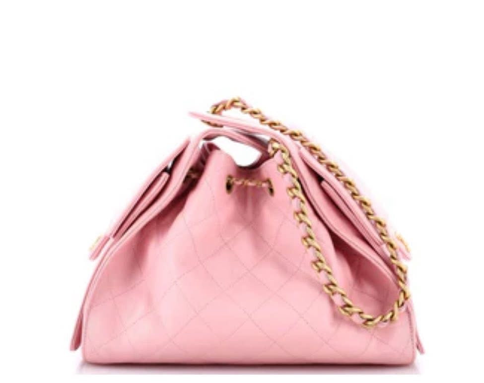 Chanel Hobo Small 25