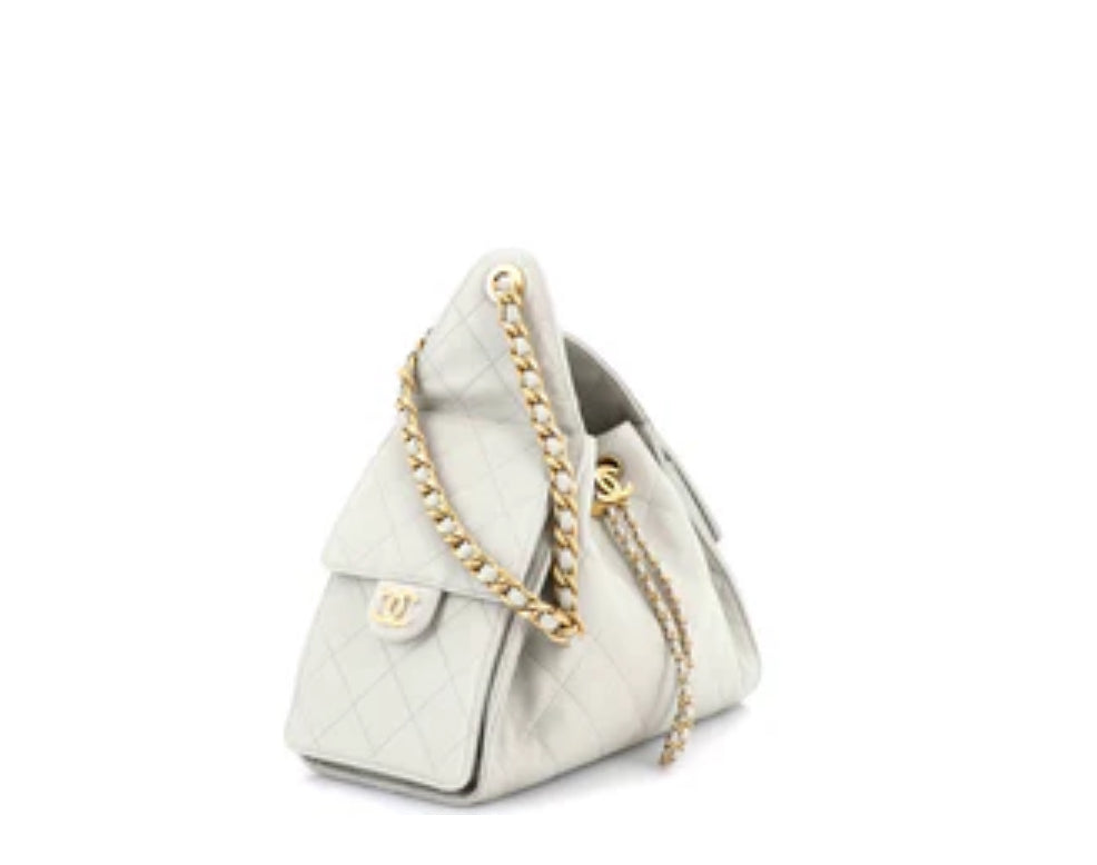 Chanel Hobo 25 Small