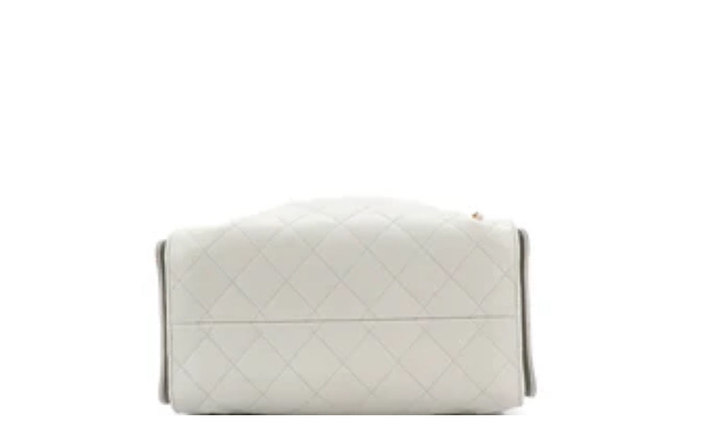 Chanel Hobo 25 Small