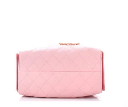 Chanel Hobo Small 25